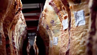Cuota Hilton: la carne de exportación llegó a su valor más alto en 10 años