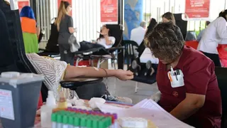 Realizan una jornada de donación de sangre en el museo Castagnino