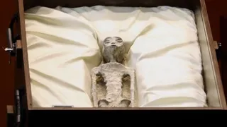 México: científicos aseguran que las momias no son extraterrestres