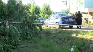 Una discusión entre vecinos por un árbol terminó con un herido de bala