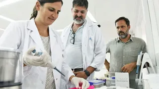 Desarrollan un kit de bajo costo para la detección temprana del dengue