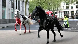 Caballos del Ejército británico desbocados por el centro de Londres