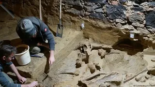 Encontraton huesos de mamut de hace 40.000 años en una bodega de vinos