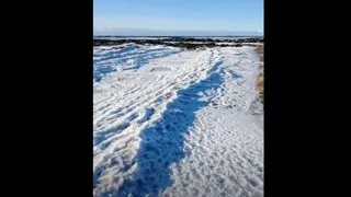 En Tierra del Fuego se congelaron hasta las olas del mar